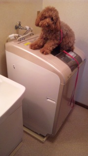 ����@�����I