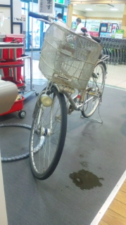 �����Ă��炢�܂�